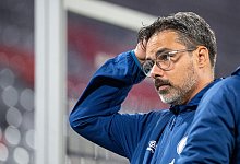 Ratlos - Foto: Matthias Balk/dpa