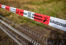 Schutzz&auml;une gegen Afrikanische Schweinepest - Christoph Schmidt/dpa