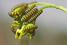 2507-blubar3 - Robin Jähne