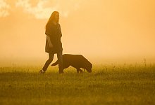 Kastration - Foto: Thomas Warnack