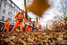 Laub - Foto: Daniel Reinhardt/dpa
