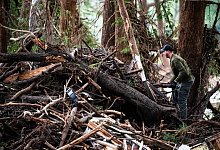 Nach der Sturzflut in Texas - Eli Hartman/FR172217 AP/dpa