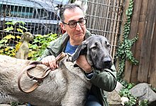 Cem &Ouml;zdemir - Bernd Wei&szlig;brod/dpa