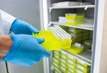 EHEC - Guido Kirchner/dpa