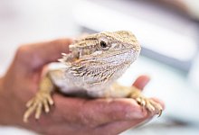 Artenschutzzentrum Metelen - dpa