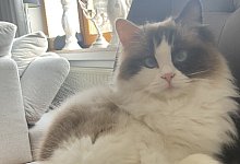 img_9375 - 1 - 1 - privat