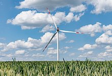 Windkraft - Markus Scholz/dpa