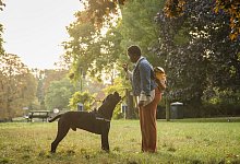 Eine Frau ist mit ihrem Hund im Park - Christin Klose/dpa-tmn