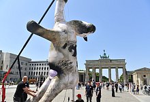 Protest am internationalen Tag gegen Tiertransporte - Paul Zinken/dpa