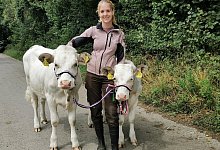 Kuhwandern - Sylvia Frevert