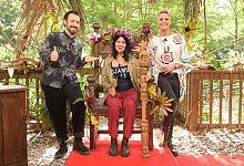 Dschungelcamp 2023 - Stefan Thoyah/RTL/dpa