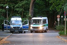 L&ouml;wen-Alarm - Gerald Matzka/dpa