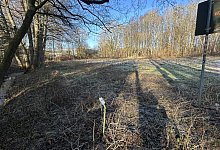 hbm-mogliche-hundewiese-4 - Cordula Gr&ouml;ne