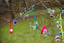 Schnullerbaum - Foto: Hauke-Christian Dittrich/dpa