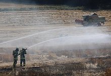 Im Kreis H&ouml;xter konnte die Feuerwehr den Brand auf einem Feld unter Kontrolle bringen. - David Schellenberg