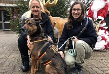 Tierheim 2022 - Sven Kienscherf