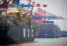 MSC-Containerschiff im Hamburger Hafen - Christian Charisius/dpa