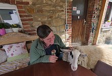 p1390507 - 1 - Jost Wolf