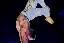 photo-2024-10-29-08-39-59 - 1 - Circus Mirage