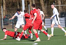 brakelsiek-diestelbruch - Paul Cohen