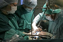 Schweineleber in lebenden Menschen transplantiert - Jan-Peter Kasper/dpa-Zentralbild/dpa