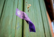 Leichenfund in Hille - picture alliance / Guido Kirchner/dpa