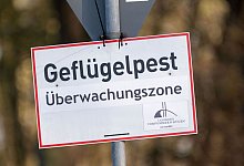 Vogelgrippe - Stefan Sauer/dpa