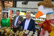 Bundeslandwirtschaftsminister Rainer - Patrick Pleul/dpa