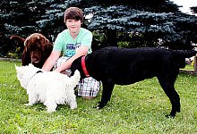 Zwölfjähriger Schüler sammelt Geld für Tierheime - Schieder