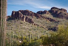 Peralta Regional Park in Arizona - Pinal County/dpa-tmn
