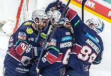 Eisb&auml;ren Berlin - Andreas Gora/dpa