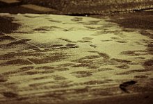 Winterwetter in Nordrhein-Westfalen - Christoph Reichwein/dpa