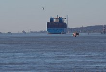 Hafen Hamburg - Marcus Brandt/dpa