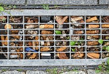 Zigarettenkippen - Patrick Pleul/dpa