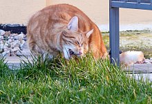 Anzeichen deuten - Foto: Andrea Warnecke