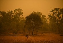 Flucht - Foto: Lukas Coch/AAP/dpa