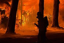 Feuer zerst&ouml;rt Lagerhalle auf Pferderennbahn - Alex Forstreuter/dpa