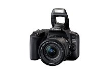 Canon EOS 200D - Foto: Canon/dpa-tmn