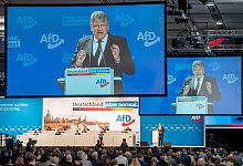 J&ouml;rg Meuthen - Foto: Kay Nietfeld/dpa