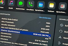iPad-Gerätedaten zum Akkuzustand - Till Simon Nagel/dpa-tmn