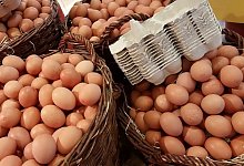 eggs-1671574_1280 - Symbolfoto: Pixabay