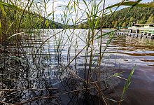 Gelterswoog bei Kaiserslautern - View/Reiner Vo&szlig;/dpa
