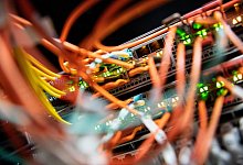 Netzwerk-Switch - Matthias Balk/dpa