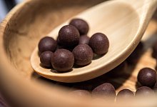 Mit Schokolade umhüllte Aroniabeeren - Foto: Andrea Warnecke/dpa-tmn