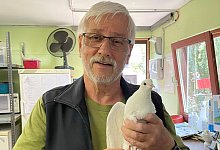 Helmut Tiek&ouml;tter am 20. Juli, nachdem er die letzten gefangenen Tiere abgeholt hatte. Deutlich zu erkennen, dass die Tiere nicht beringt sind. - Tierschutzverein Bielefeld