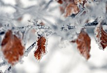 Winterwetter in Nordrhein-Westfalen - Federico Gambarini/dpa/Symbolbild