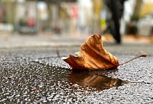 Herbstliches Wetter - Henrich Linda/dpa