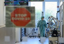 Coronavirus - Foto: Robert Michael/dpa-Zentralbild/dpa