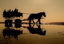 Wattwagen - Mohssen Assanimoghaddam/dpa