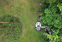 Ein M&auml;hroboter f&auml;hrt durch einen Garten - Sascha Thelen/dpa